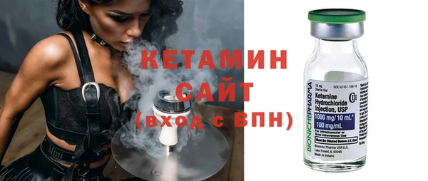молекула духа Вяземский