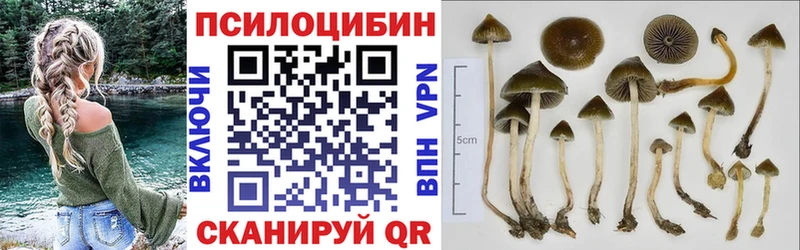 Псилоцибиновые грибы мицелий  OMG сайт  Аша 